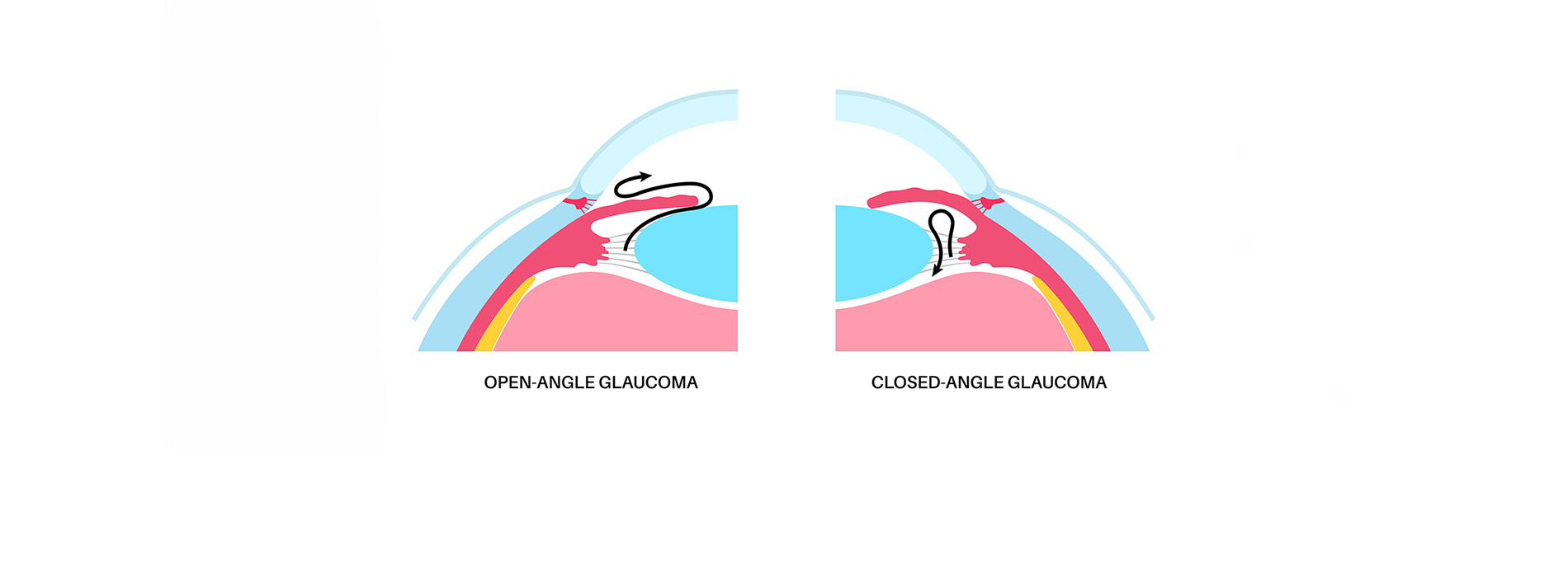 The image shows a stylized graphic with three overlapping circles representing a conceptual model or process, each labeled with text that appears to be in Spanish, possibly indicating stages or components of the model. The background is plain and does not provide additional context.
